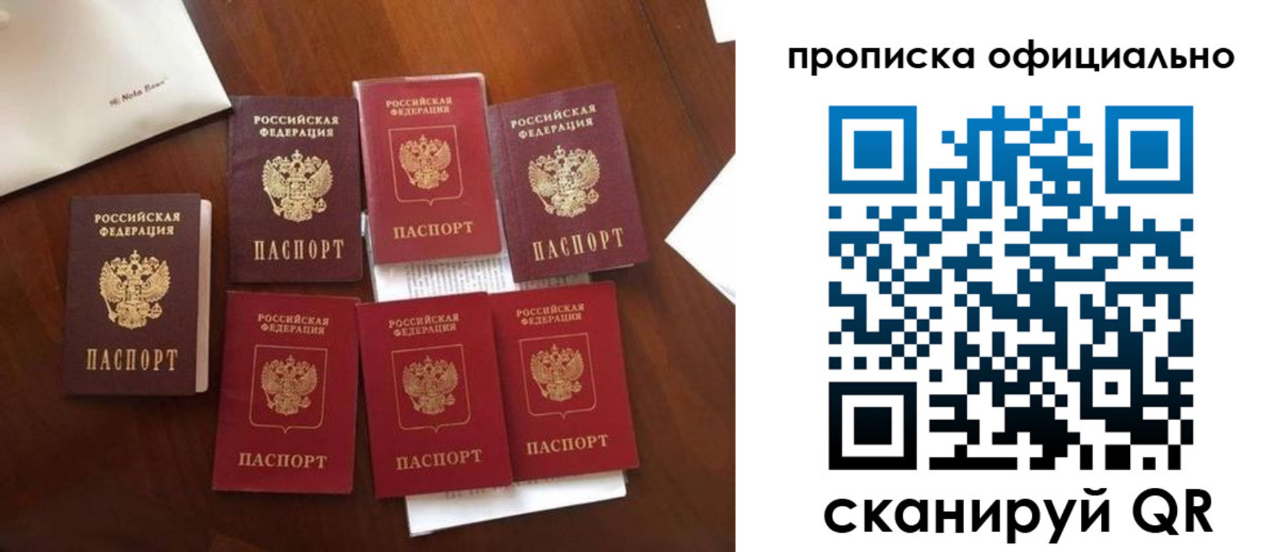 прописка законно в Ногинске